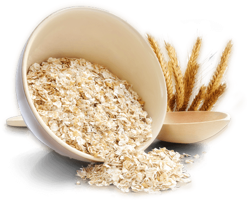 Oatmeal PNG Isolated Photos