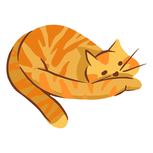 Orange Cat PNG Free Download