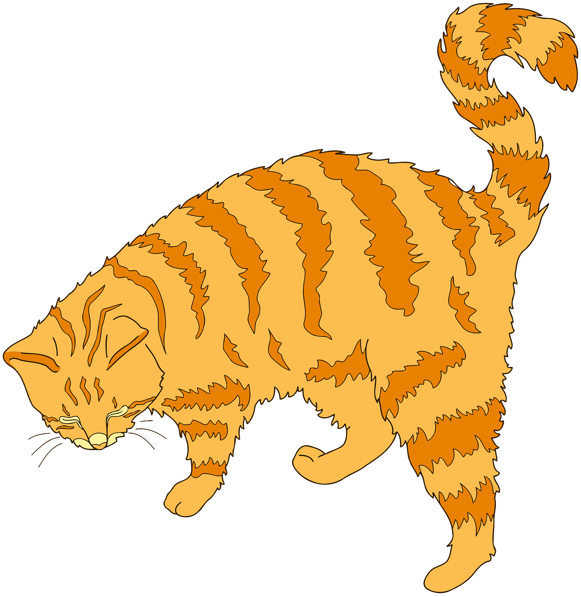 Orange Cat PNG HD Isolated
