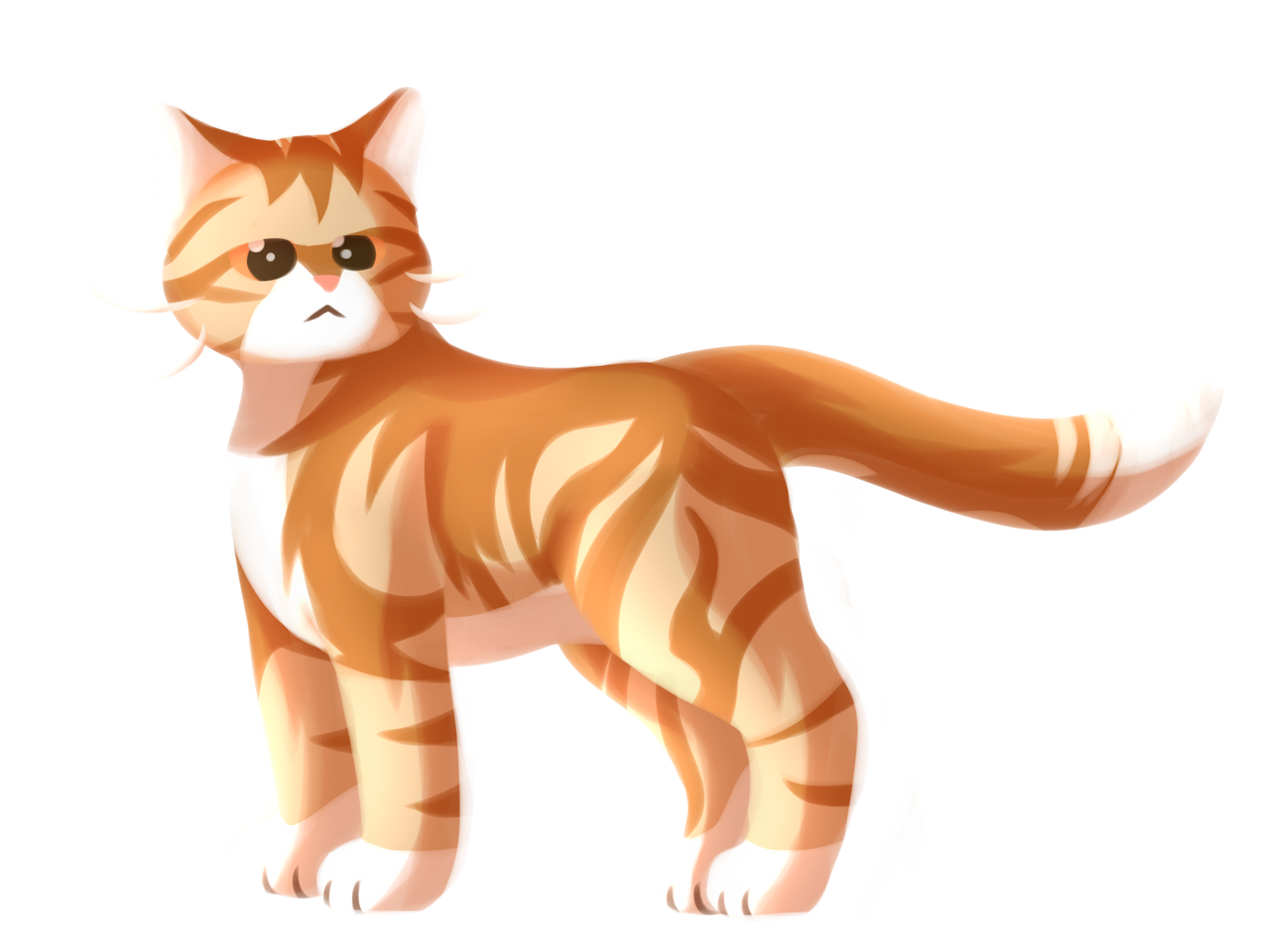 Orange Cat PNG Isolated Pic