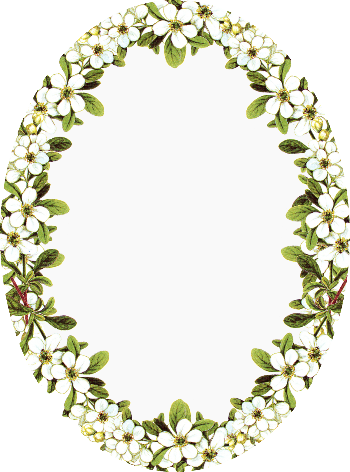Oval Frame PNG Photo