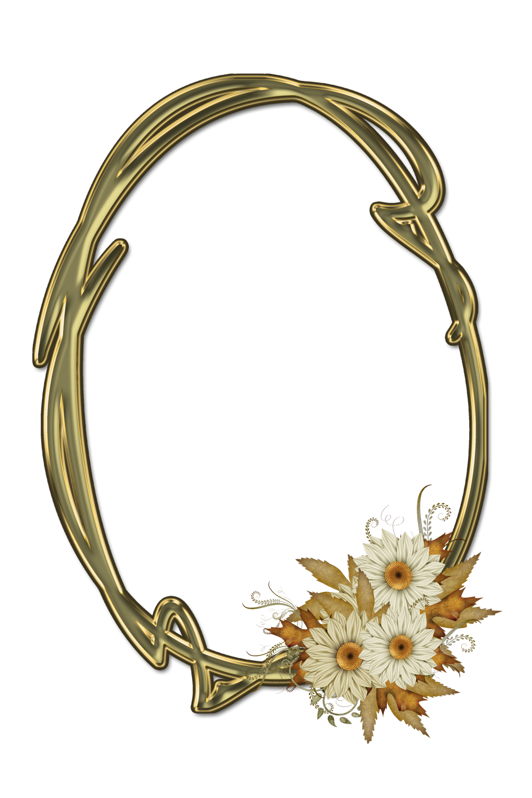 Oval Frame PNG Photos