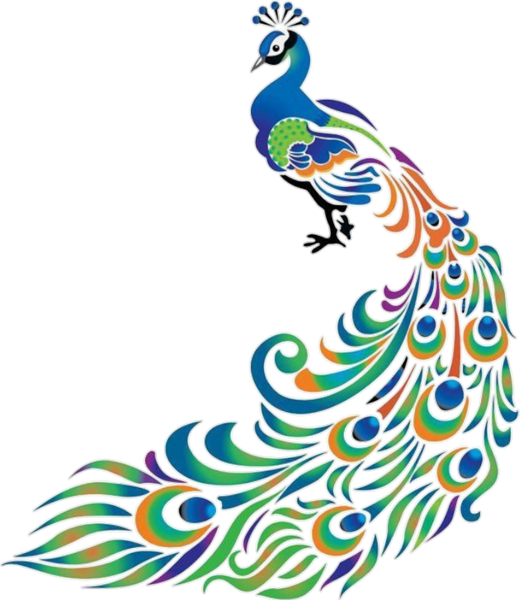 Peacock Logo PNG File