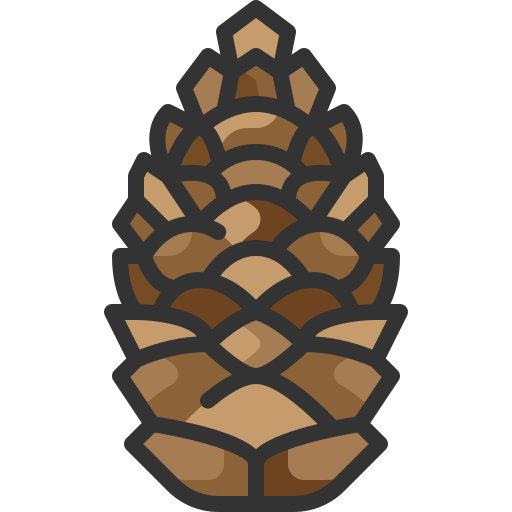 Pine Cone Transparent PNG