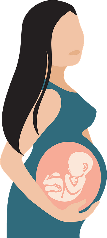 Pregnant Woman Cartoon PNG