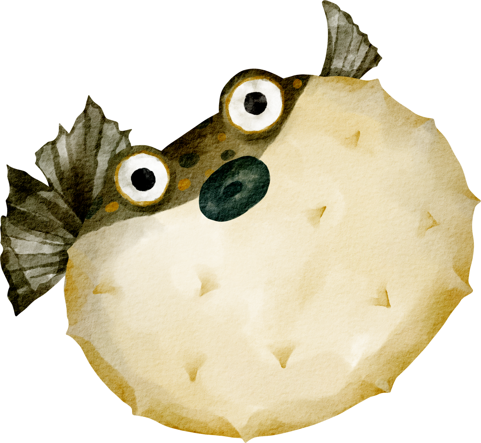 Pufferfish PNG Isolated Image
