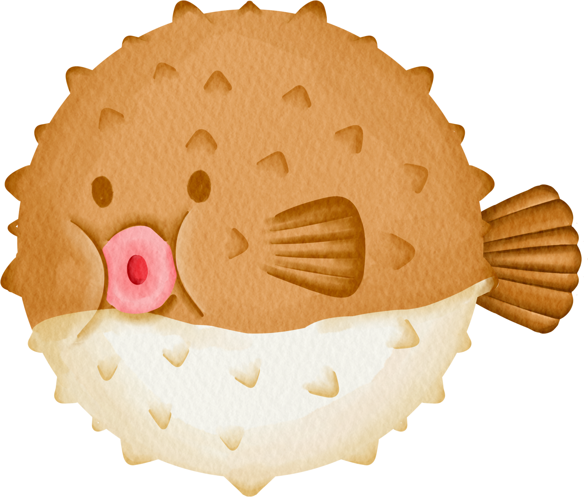 Pufferfish PNG Isolated Photo