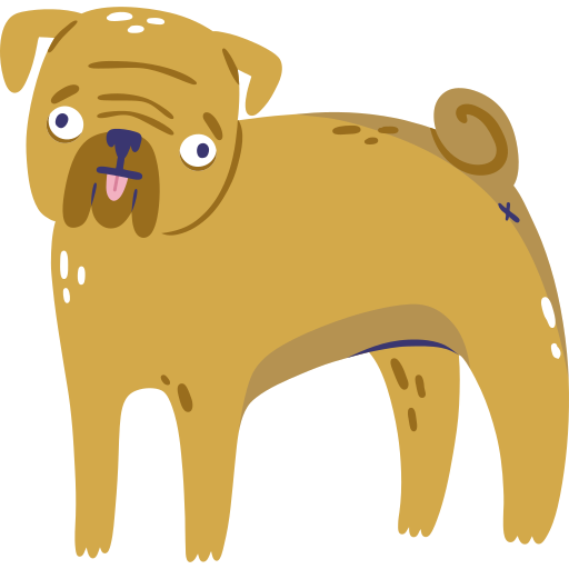 Pug PNG HD Isolated