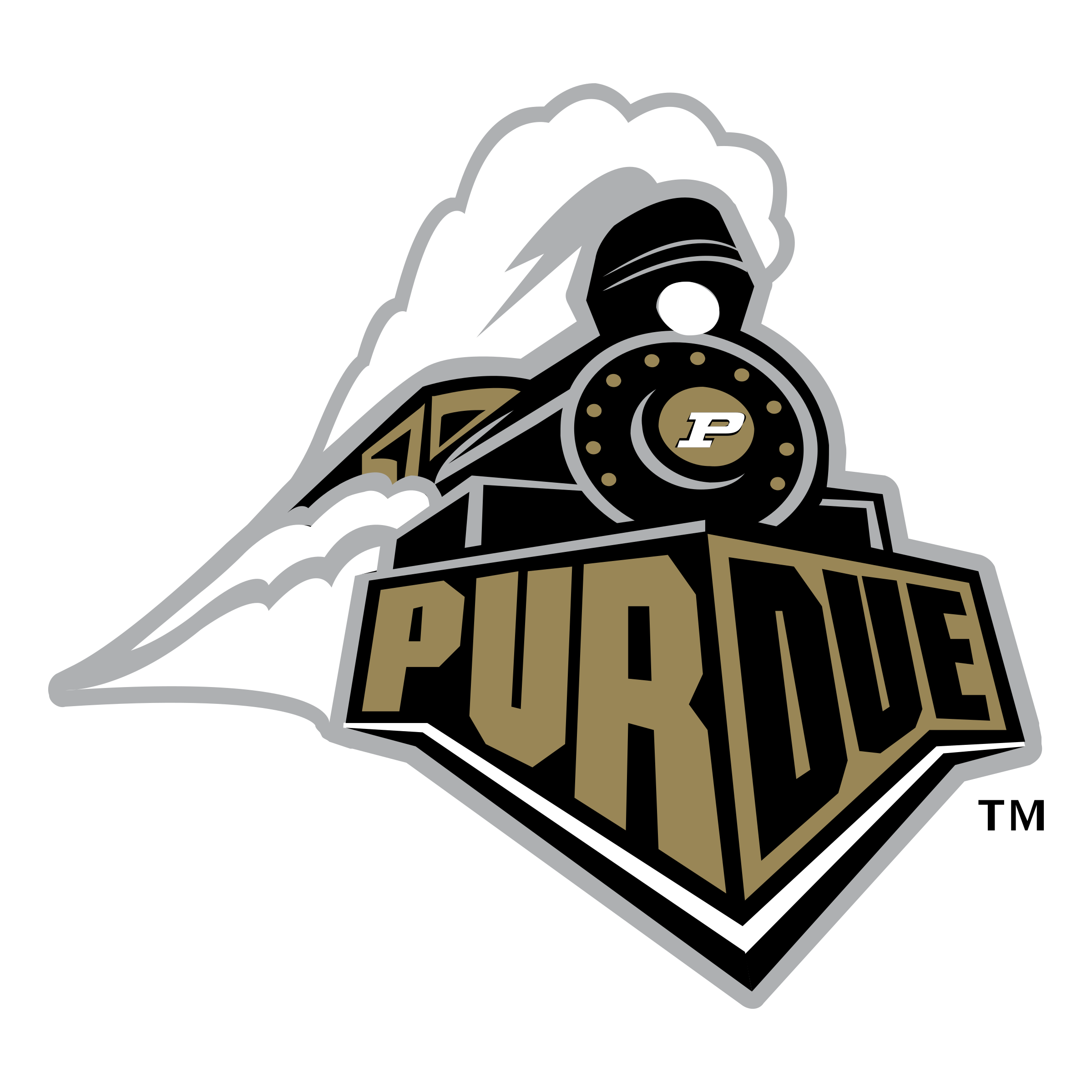 Purdue Logo PNG Photo