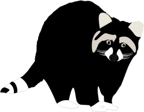 Raccoon PNG Clipart