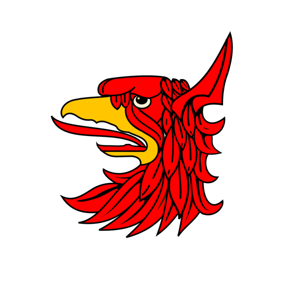 Red Bird PNG Pic
