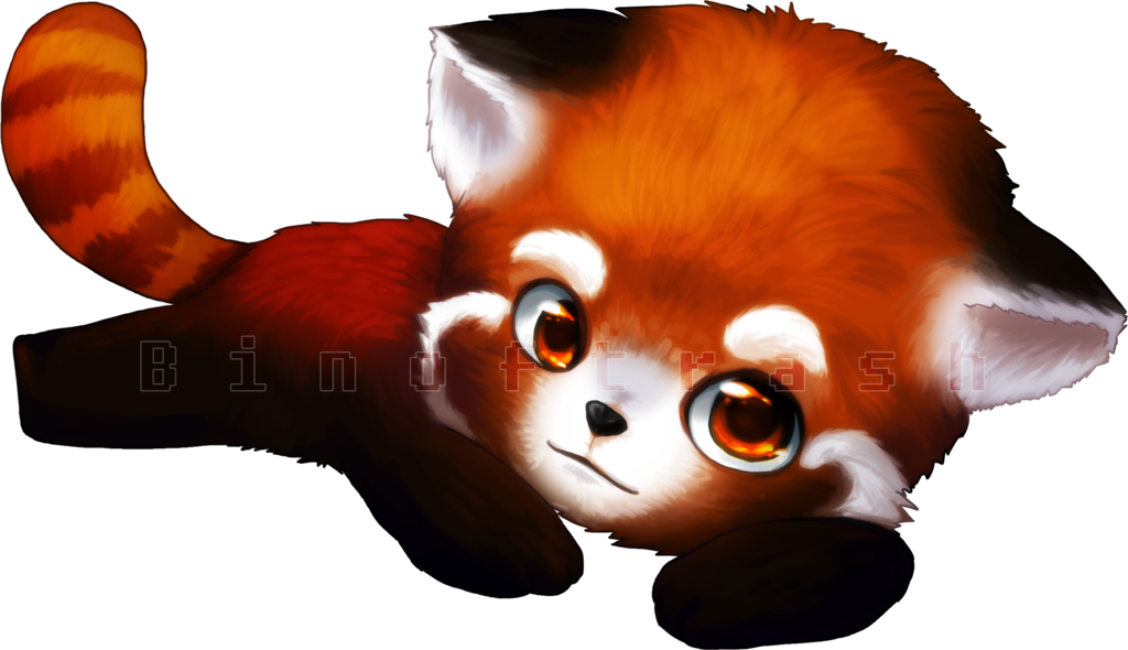 Red Panda PNG File