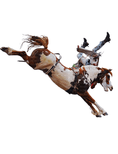 Rodeo PNG Isolated Photos