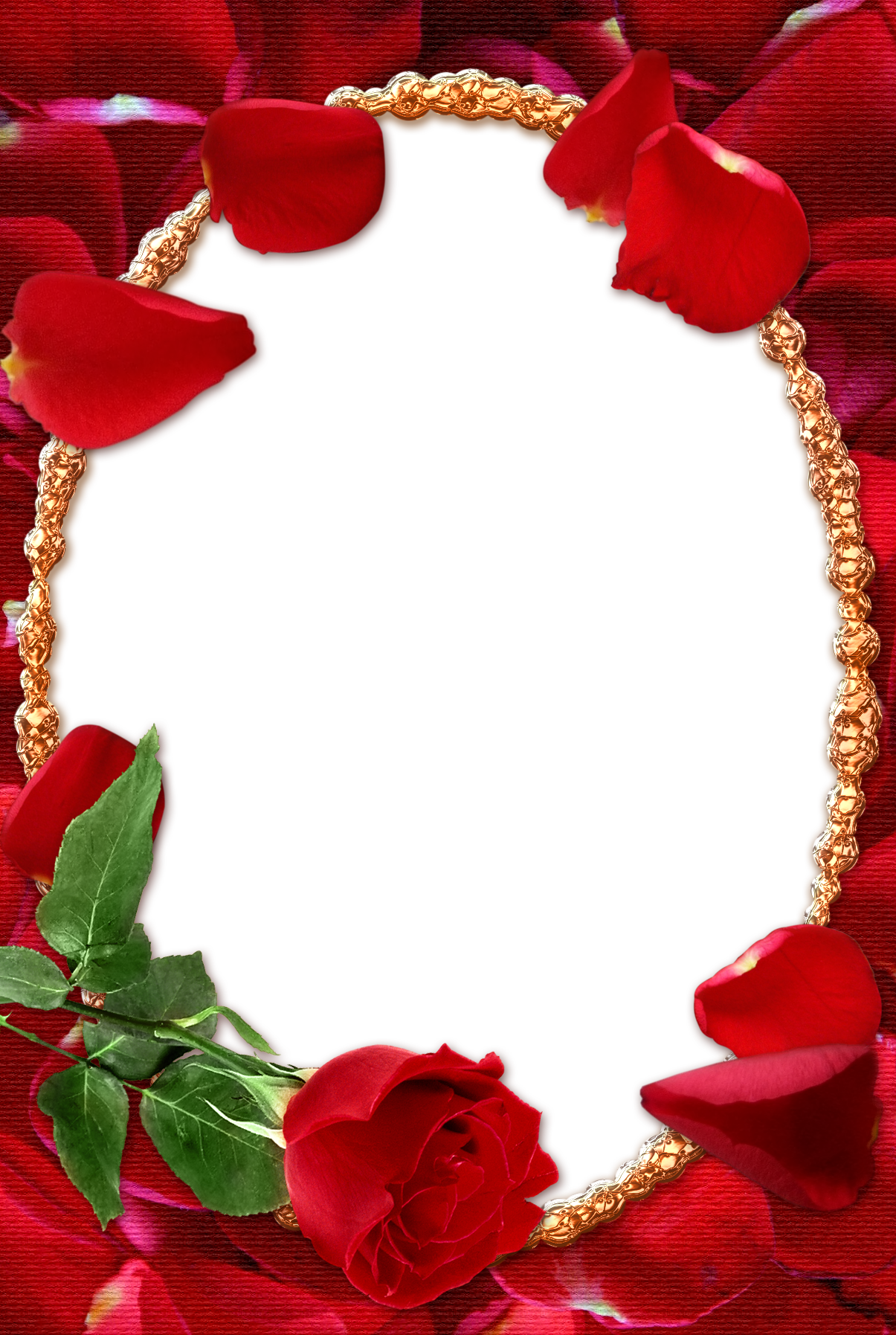 Rose Frame PNG Isolated File
