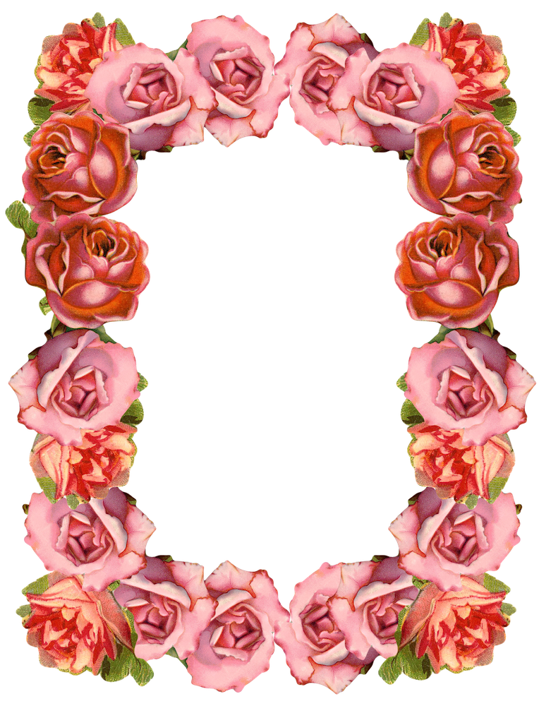 Rose Frame PNG Isolated Photo
