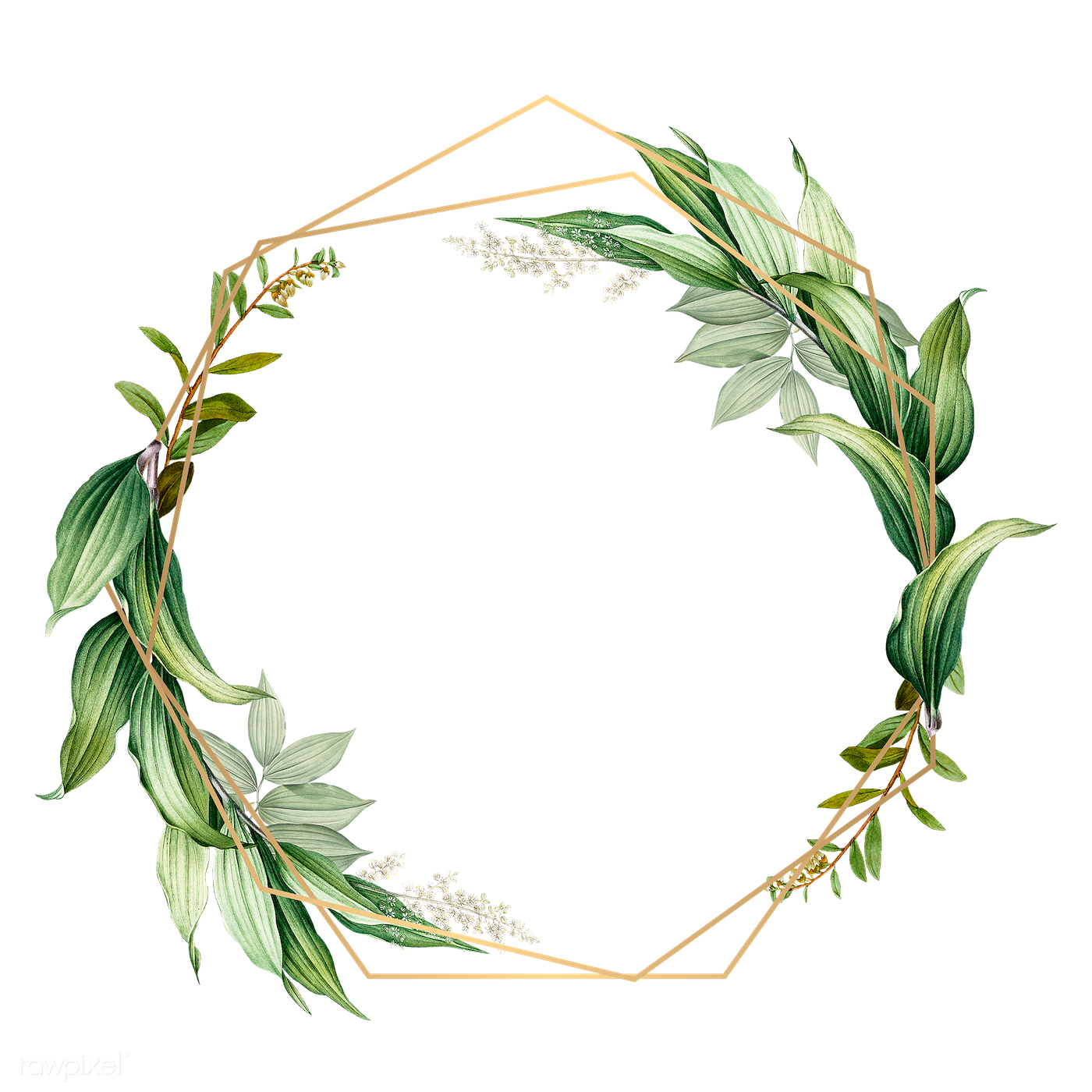 Sage Green PNG Picture