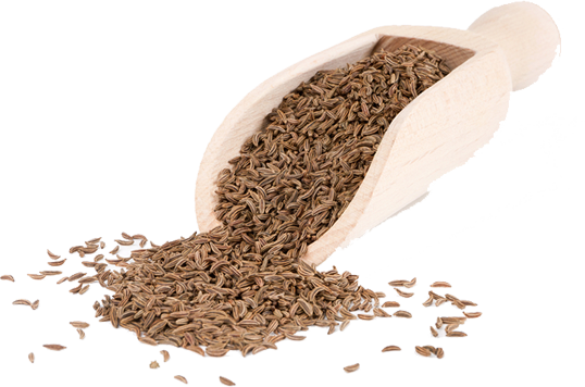 Seeds PNG Pic