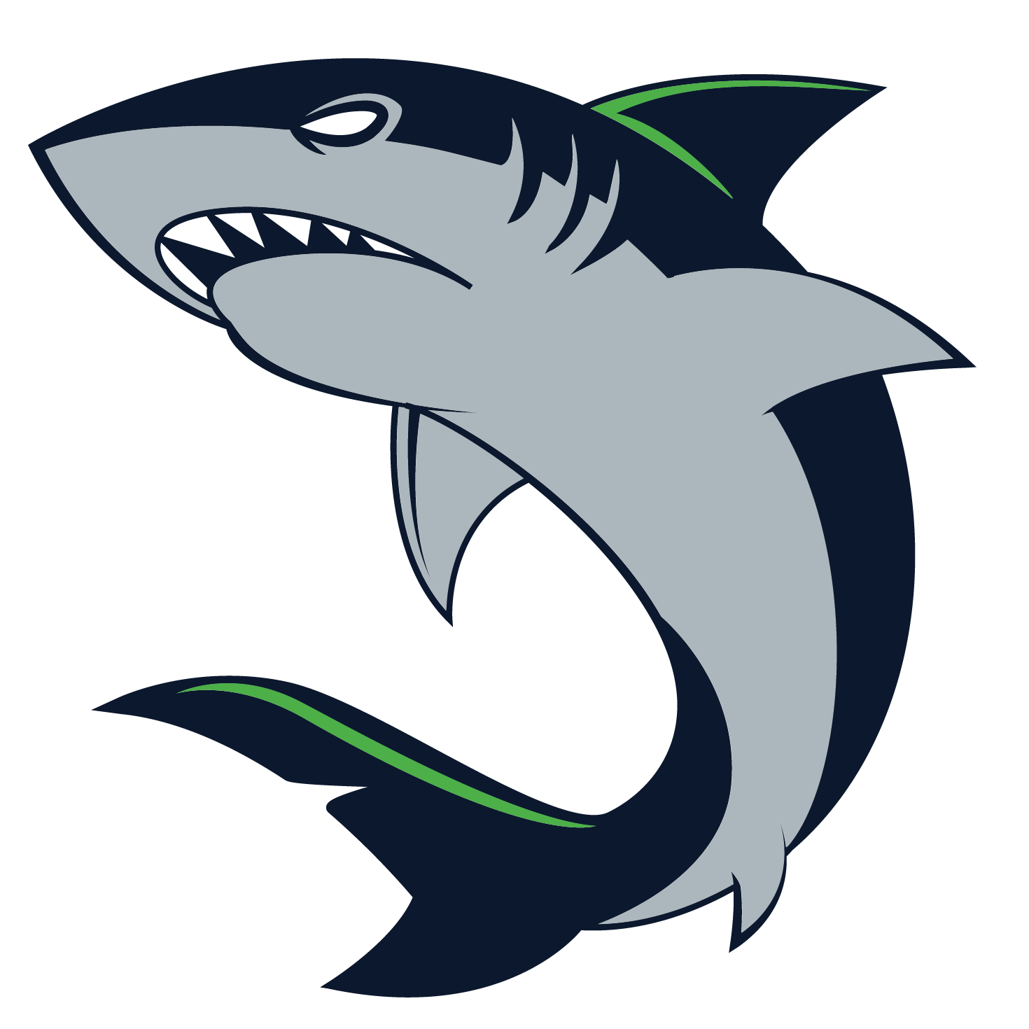 Shark Cartoon PNG Isolated Pic