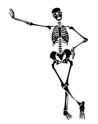 Skeleton Cartoon PNG Free Download