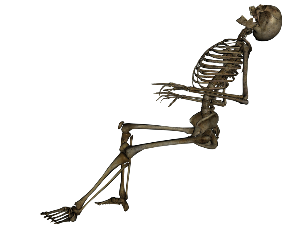 Skeleton Cartoon PNG Isolated HD