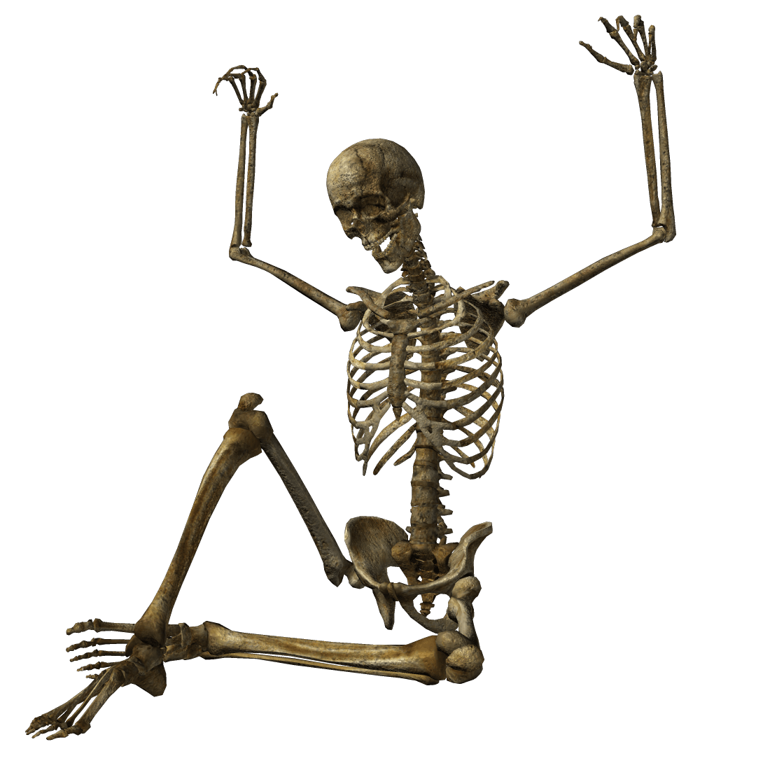 Skeleton Cartoon PNG Isolated Image