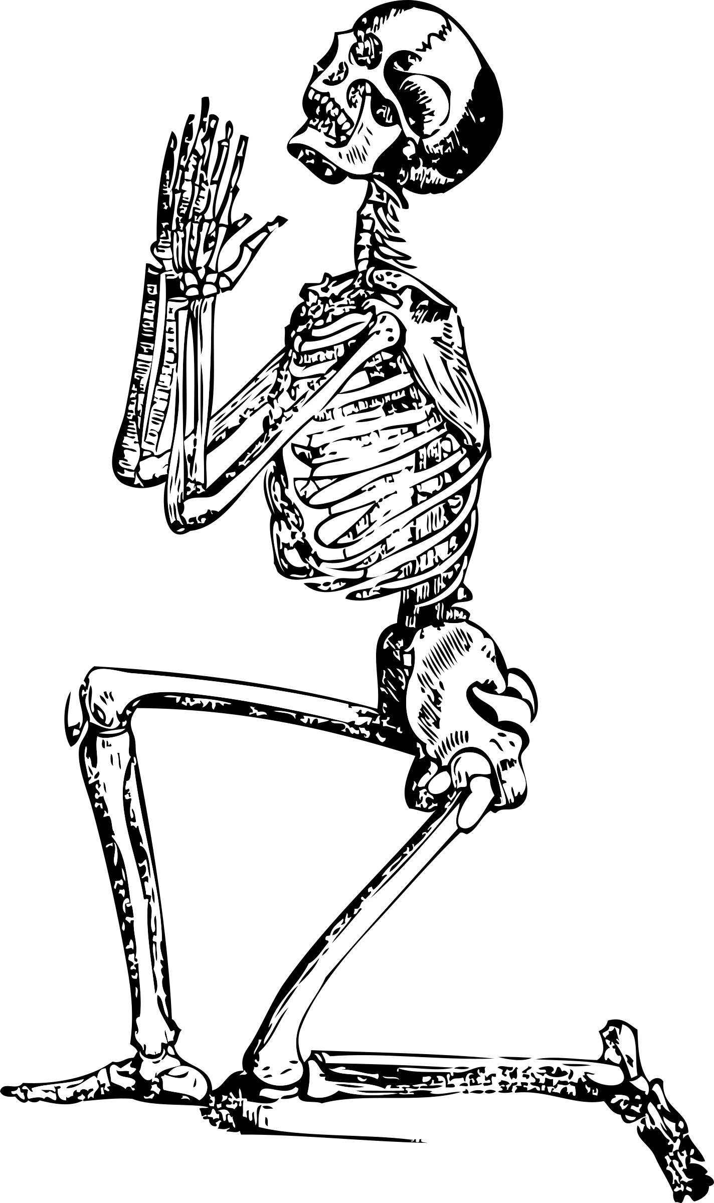 Skeleton Cartoon PNG Picture