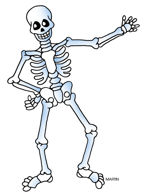 Skeleton Cartoon PNG