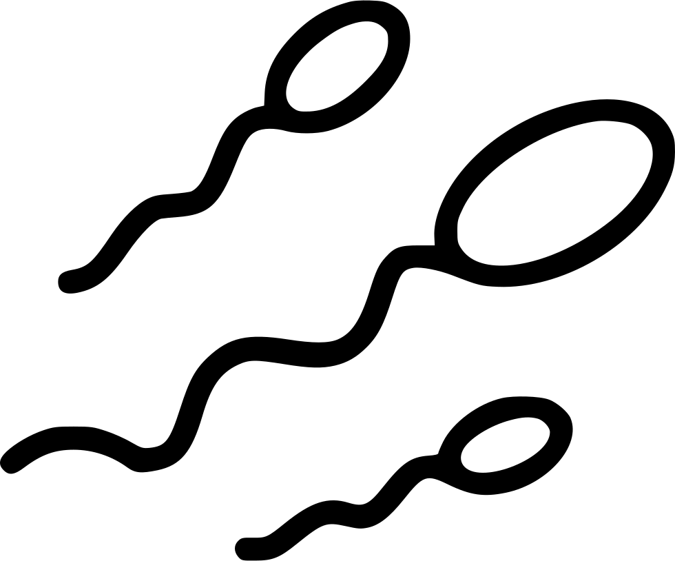 Sperm Cartoon PNG Clipart