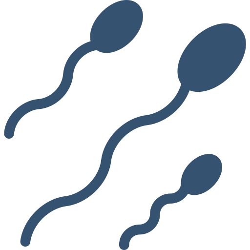Sperm Cartoon PNG Photo