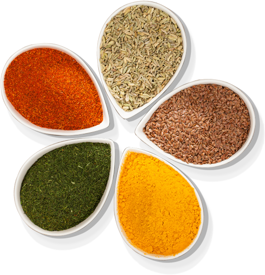 Spices PNG Picture