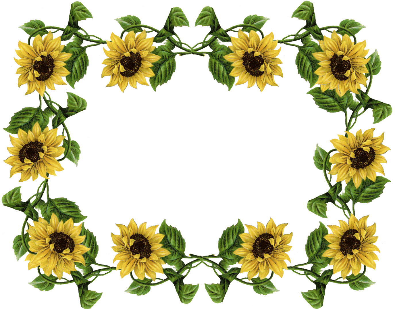 Sunflower Frame PNG Clipart