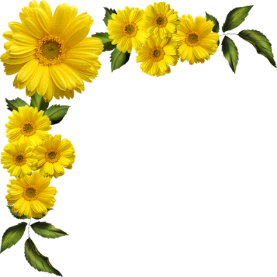 Sunflower Frame PNG Free Download