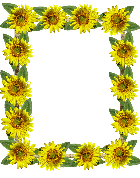 Sunflower Frame PNG HD Isolated