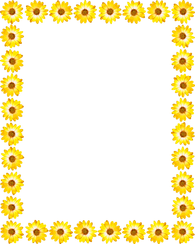 Sunflower Frame PNG HD