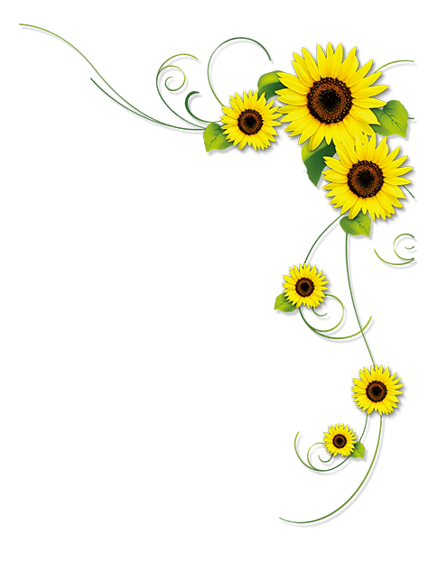 Sunflower Frame PNG Isolated File