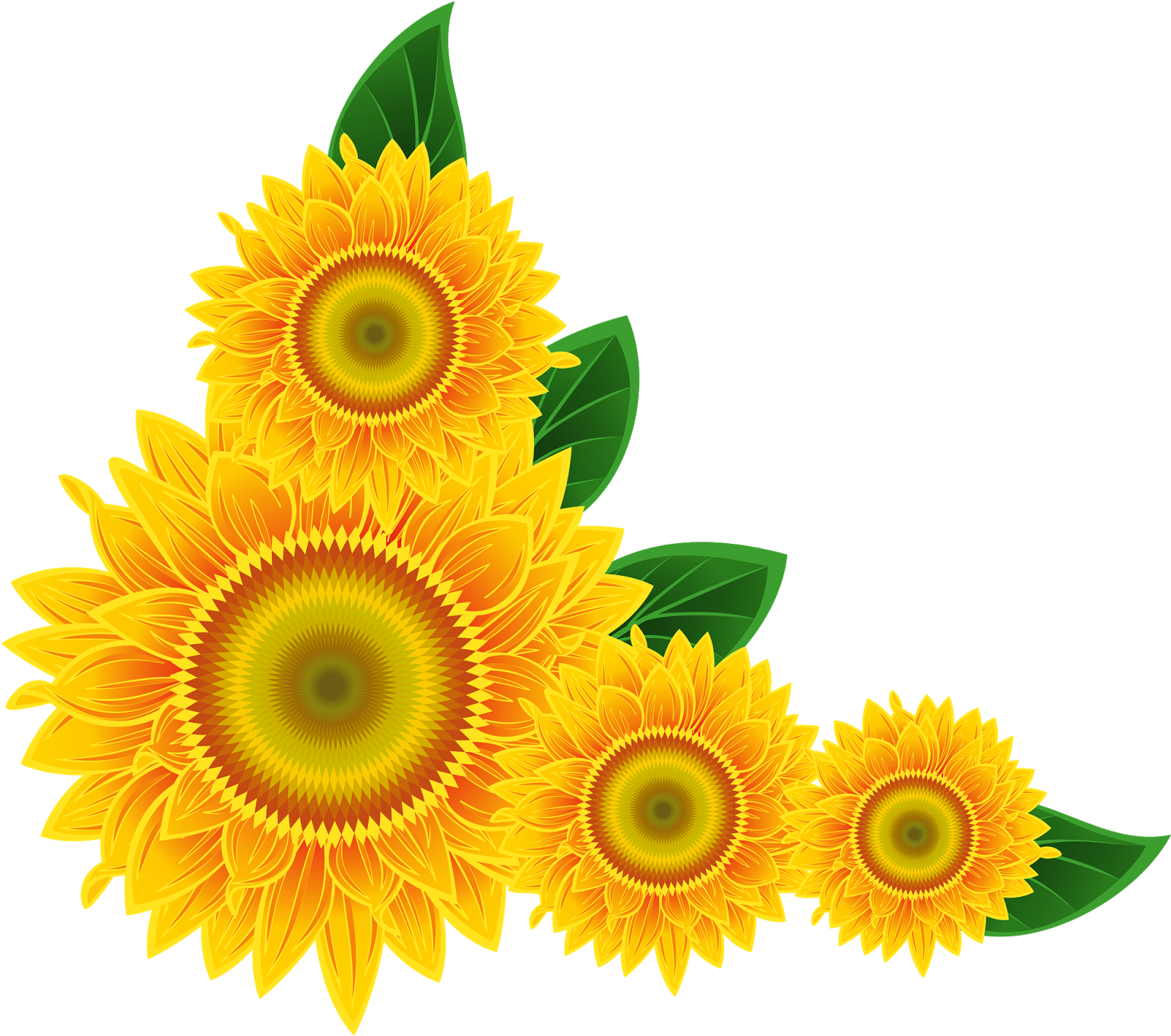 Sunflower Frame PNG Isolated HD