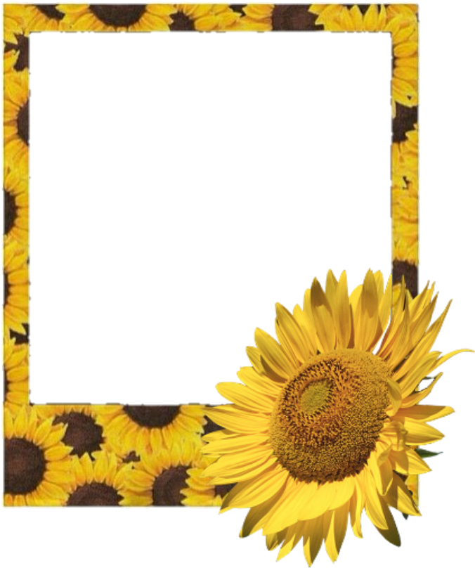 Sunflower Frame PNG Isolated Image