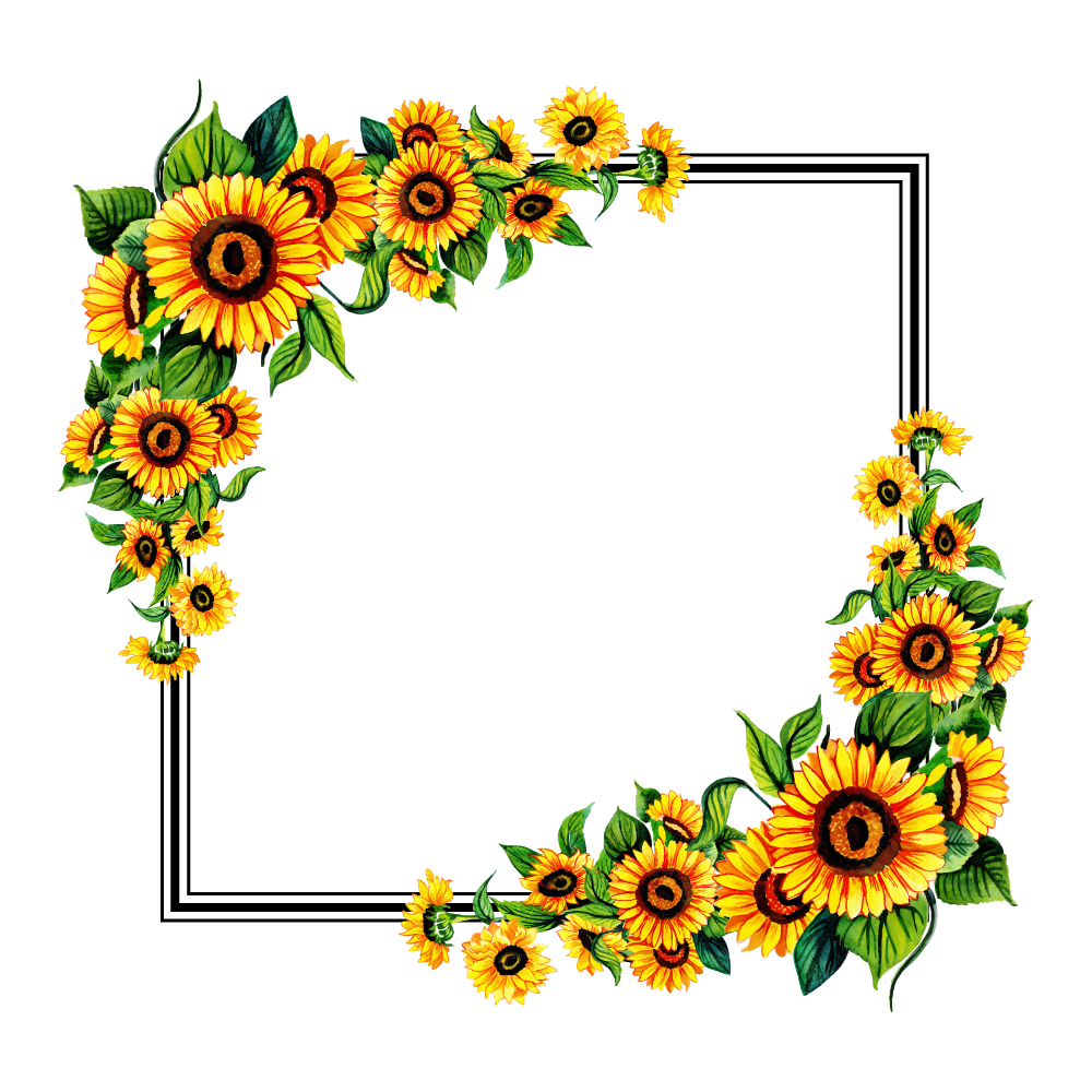 Sunflower Frame PNG Photos
