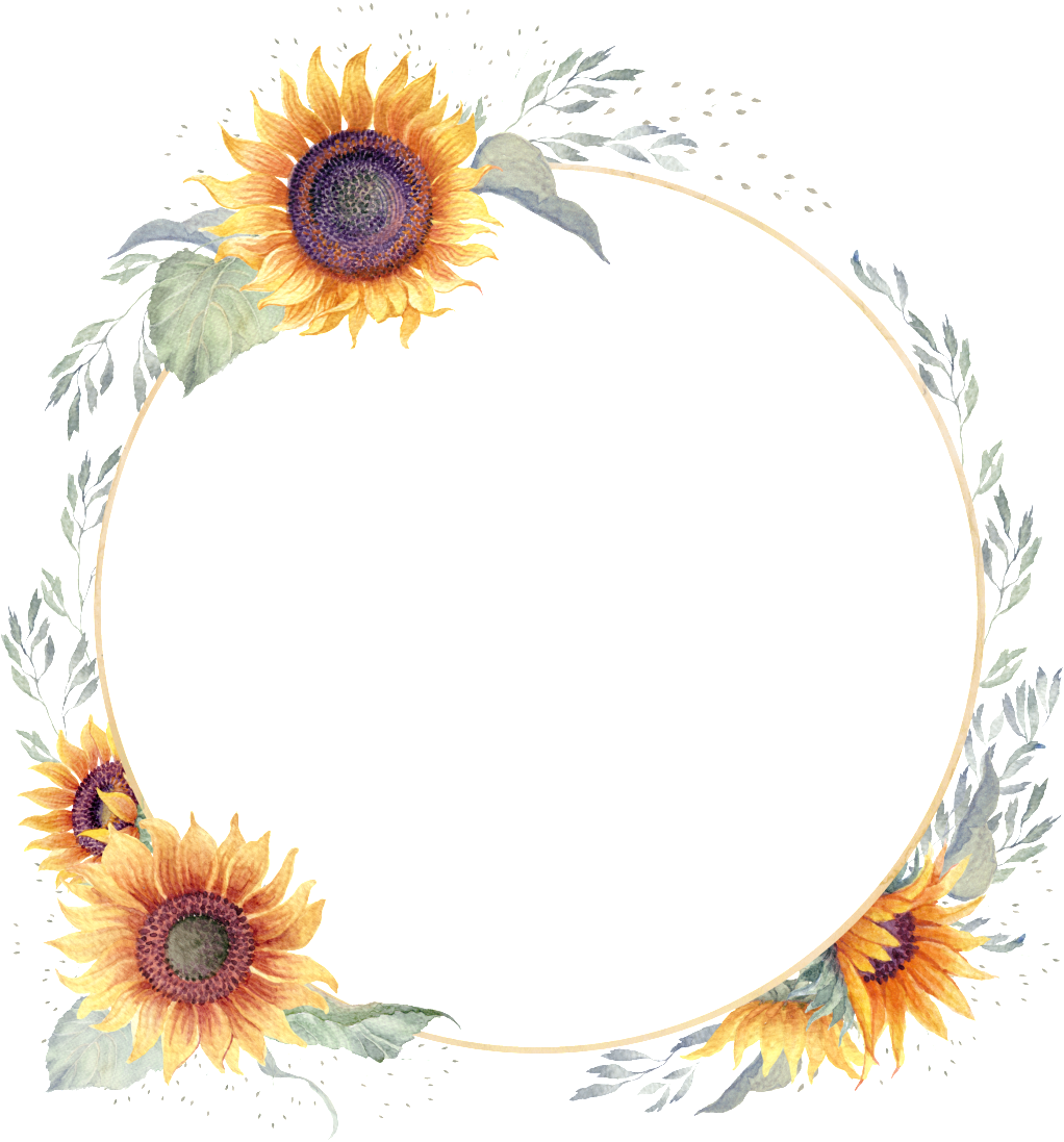 Sunflower Frame PNG Pic