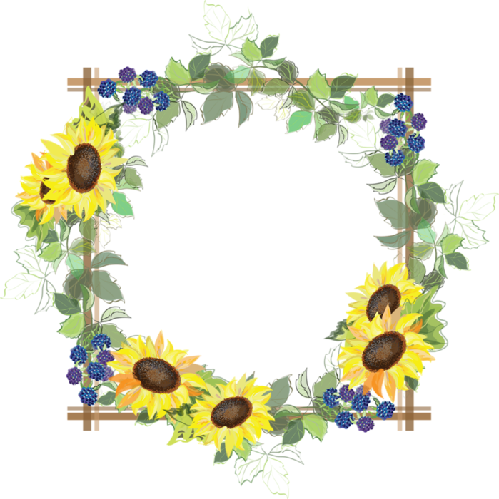 Sunflower Frame PNG