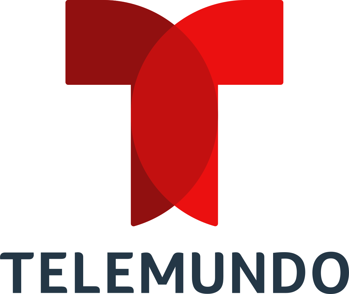 Telemundo Logo PNG