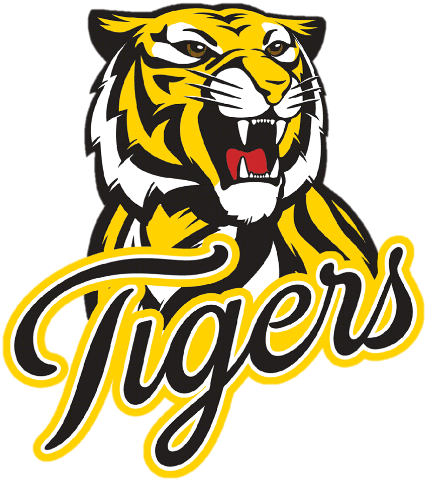 Tiger Logo PNG Image