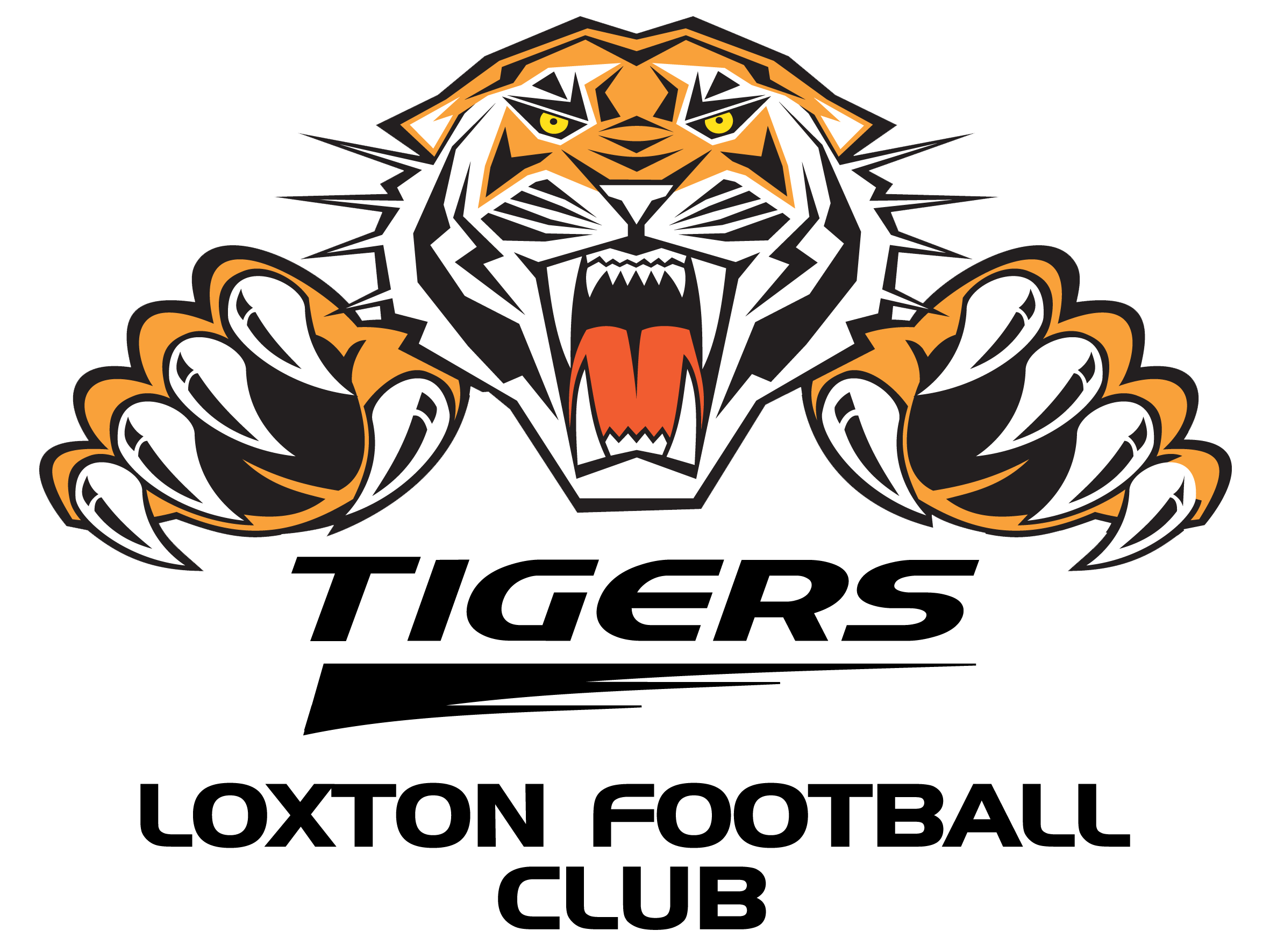 Tiger Logo PNG Picture