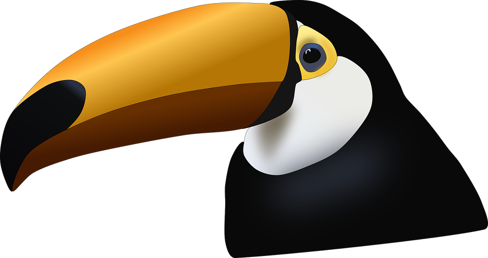 Toucan PNG Clipart