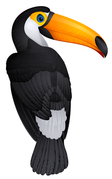 Toucan PNG Isolated Image