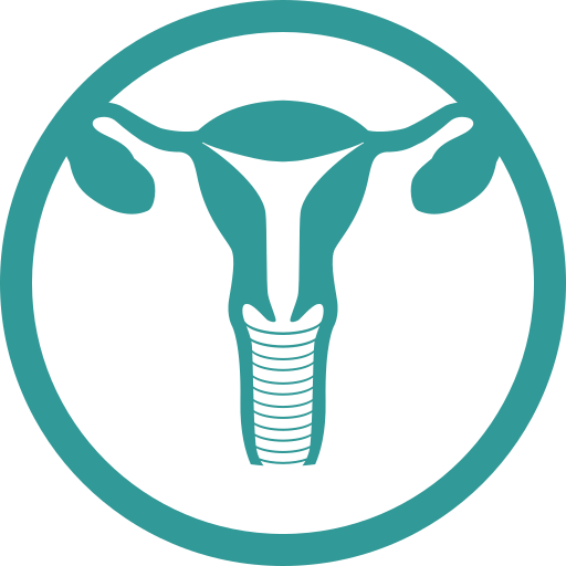 Uterus PNG HD Isolated