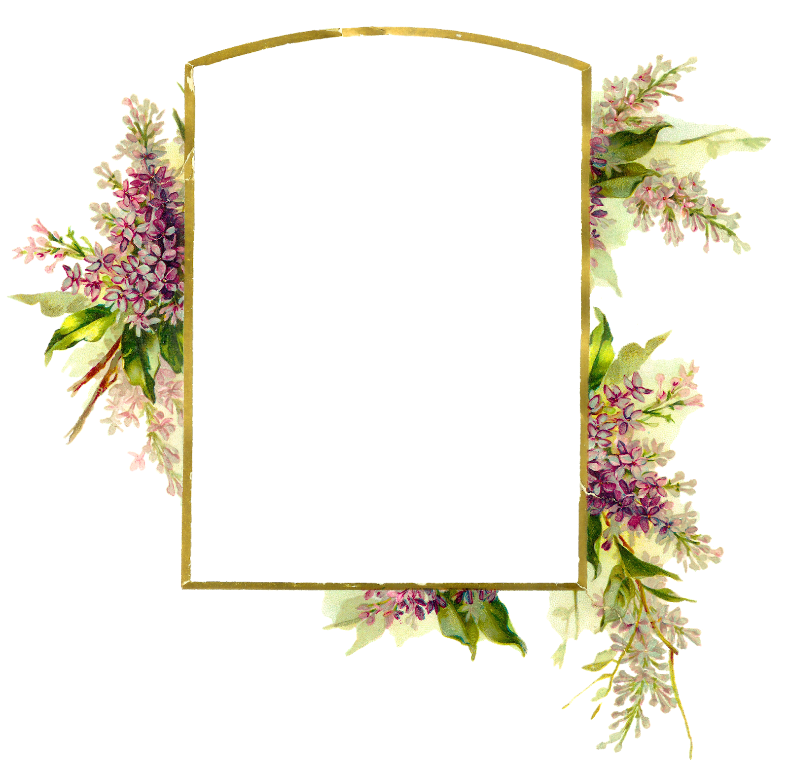 Wedding Frame PNG Isolated Photo