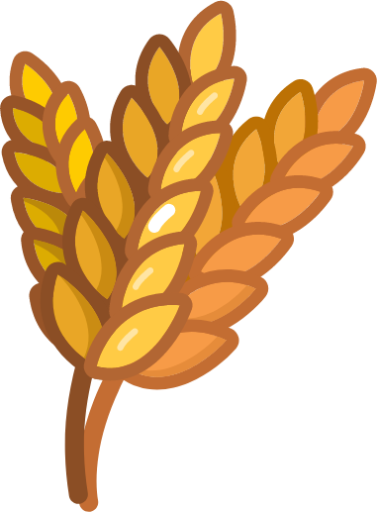 Wheat PNG HD Isolated