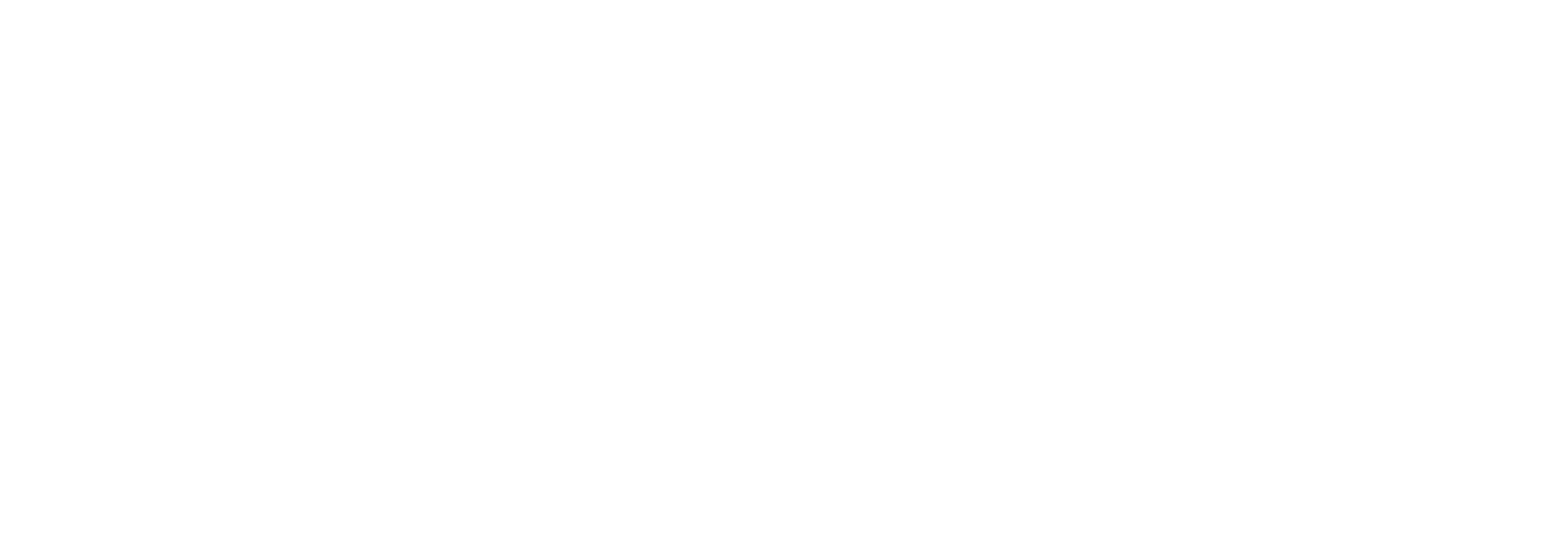 White Nike Logo PNG
