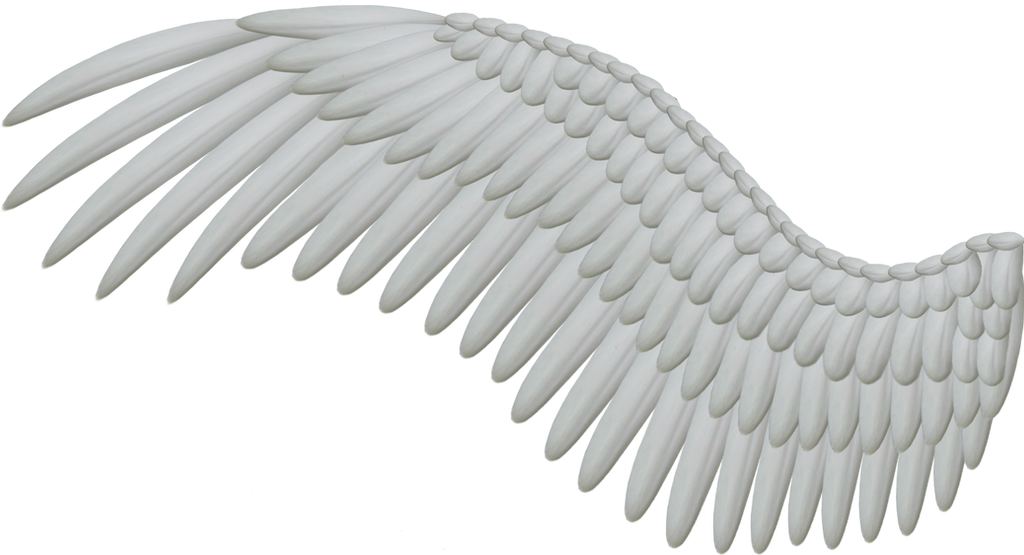 Wing PNG Isolated HD